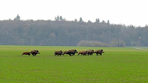 Wetterfotos hallo hessen Januar 2020