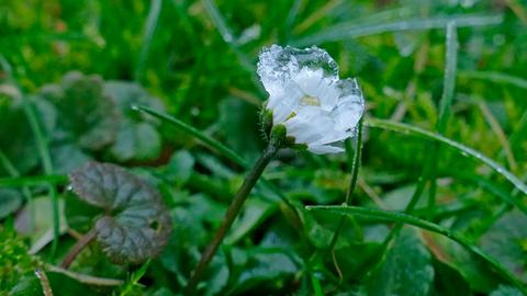 Wetterfotos hallo hessen Januar 2020