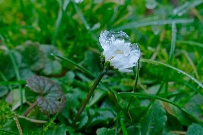 Wetterfotos hallo hessen Januar 2020