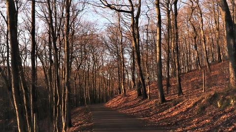 Wetterfotos hallo hessen Januar 2020