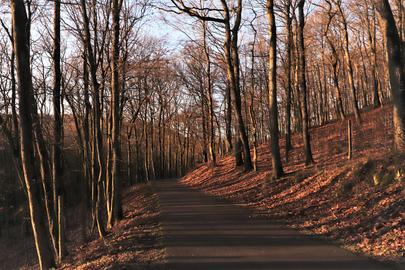 Wetterfotos hallo hessen Januar 2020