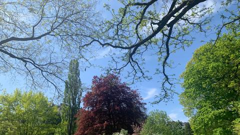 Wetterbilder hallo hessen