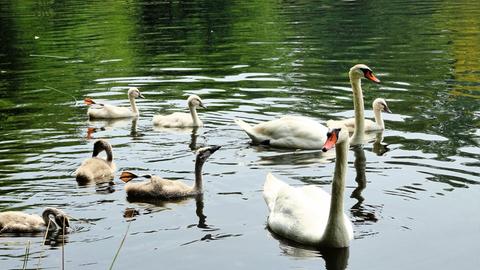 Wetter-Bilder Birgit Zeiss aus Willingshausen