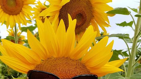 Wetter-Bilder Birgit Zeiss aus Willingshausen-2