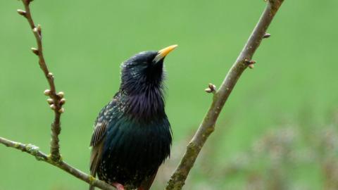 Wetterbilder