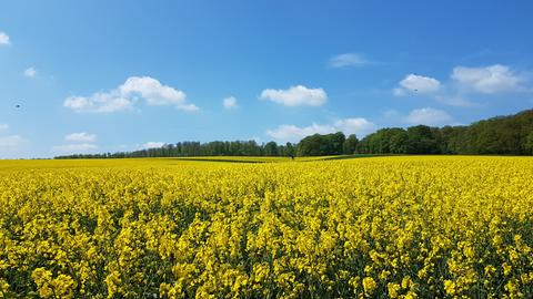 Wetter-Bilder Birgit Zeiss aus Willingshausen