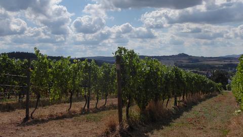 Wetter-Bilder Brigitte Volk aus Groß-Umstadt