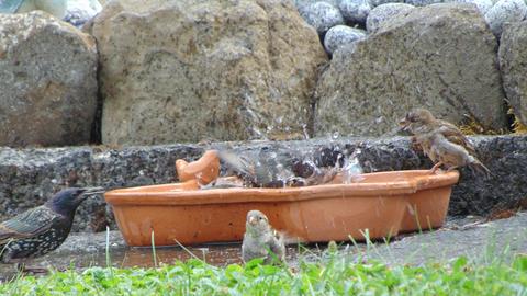 Wetter-Bilder Eike Erdel aus Homberg