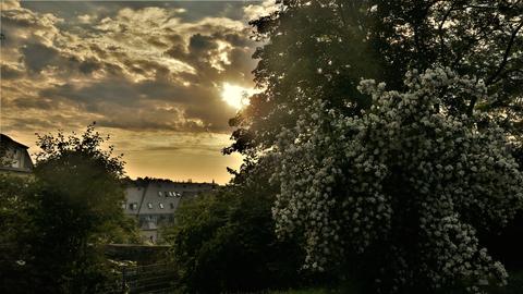 Wetter Bilder Elfriede Seitz aus Wiesbaden