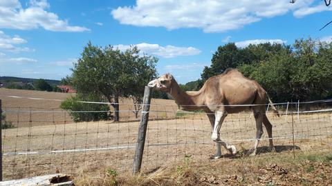 Wetter-Bilder Ellen Guyot aus Ober-Ramstadt / Rohrbach