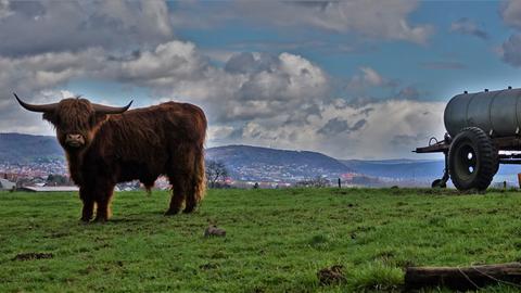 hallo hessen Wetterbilder