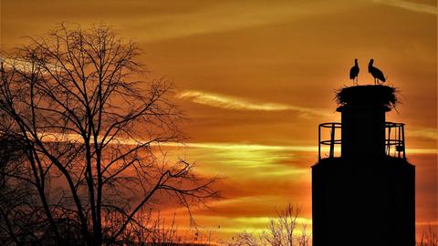 Wetterbilder