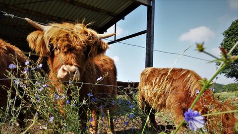 Wetter-Bilder