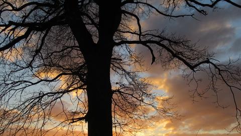 hallo hessen Wetterbilder