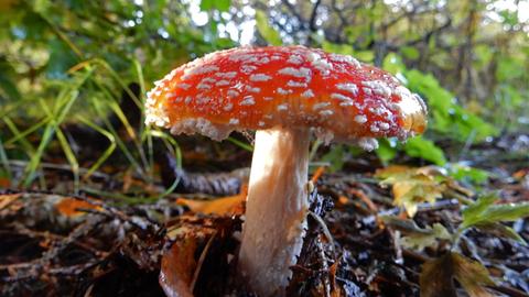 Wetter-Bilder Heike Schäfer aus Eschwege