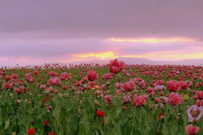 Wetterfotos