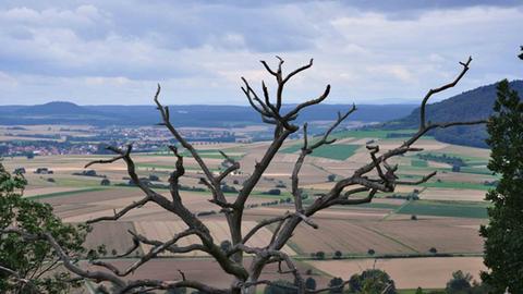 Wetter-Bilder