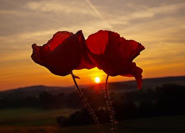 Wetterfotos