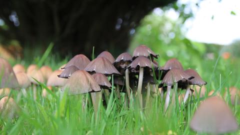 Wetterbilder hallo hessen
