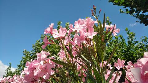 Wetterbilder