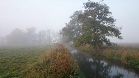 Wetter-Bilder Kornelia Montanus aus Steinatal