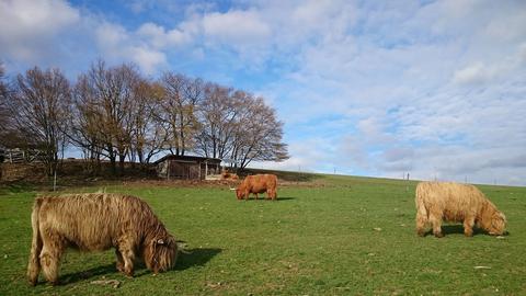 Wetterbilder hallo hessen