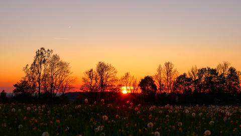 Wetter-Bilder Laura Städler aus Frankenheim