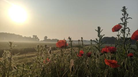 Wetter Bilder Marc Schott