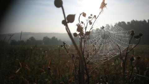 Wetter-Bilder Markus Fahrenbach aus Mainleus