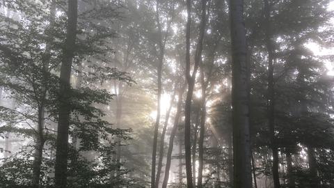 Wetter-Bilder Michaela Linsner aus Waldems