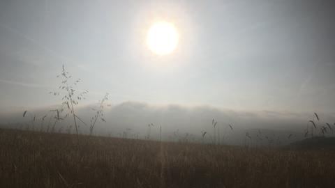 Wetter-Bilder