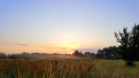 Wetter-Bilder