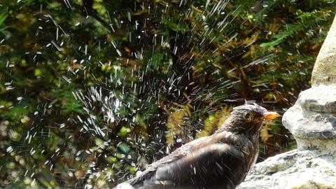 Wetterfotos