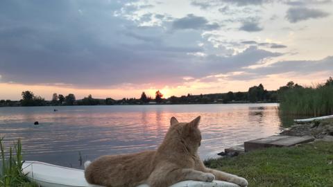 Wetter-Bilder Sabine Fischer aus Hungen