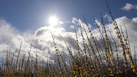 Wetterbilder