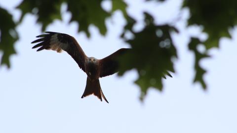 Wetter Bilder Tanja Glittenberg aus Siegbach
