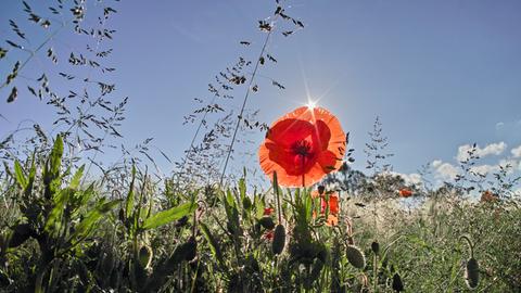 Wetter-Bilder Werner Lamm aus Korbach