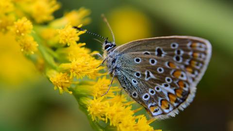Wetter-Bilder_Carina Grisse aus Spangenberg
