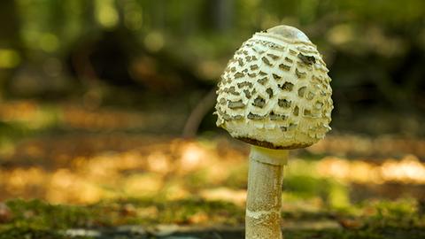 Wetter-Bilder_Michel Lucente-Forte aus Lohfelden