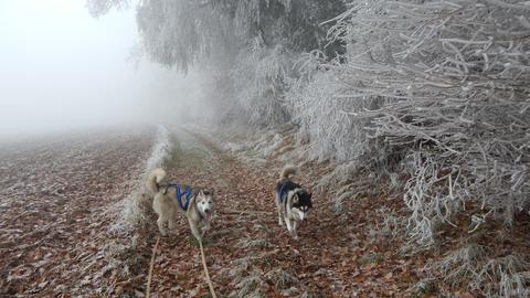 Wetterfoto-Oktober - Armin Holler aus Wölfersheim