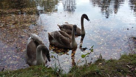 Wetterfoto-Oktober - Birgit Schwappach aus Wolfhagen