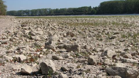 Wetterbilder