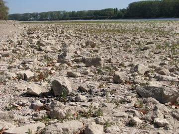 Wetterbilder