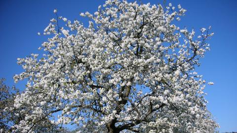Wetterbilder