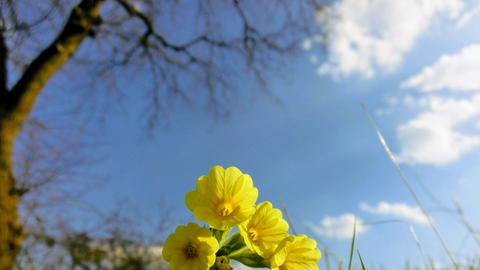 Wetterbilder hallo hessen