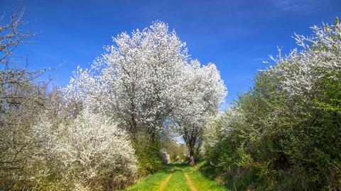 Wetterbilder