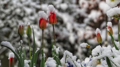 Wetterbilder
