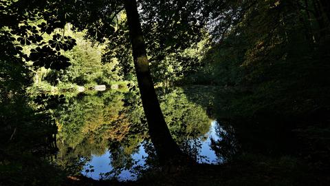 Wetterbilder