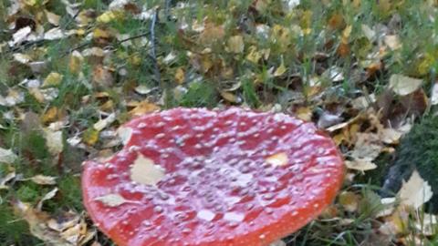 hallo hessen Wetterbilder