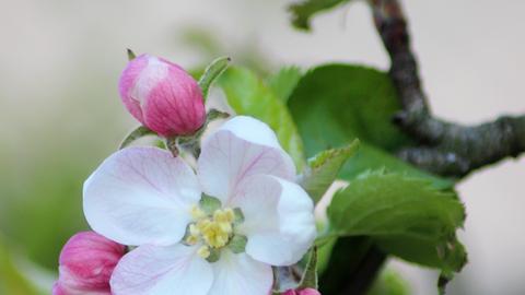 Wetterbilder